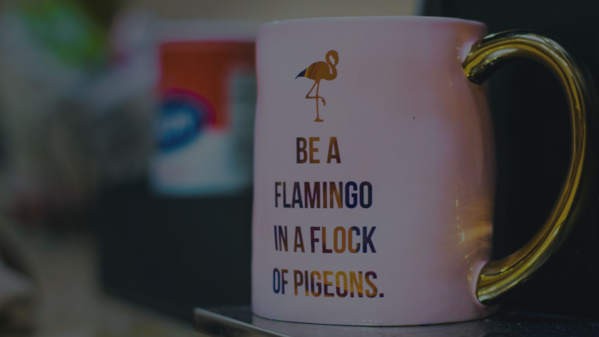 Erotu kilpailijoista